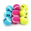 For Pet Dog Tennis Ball