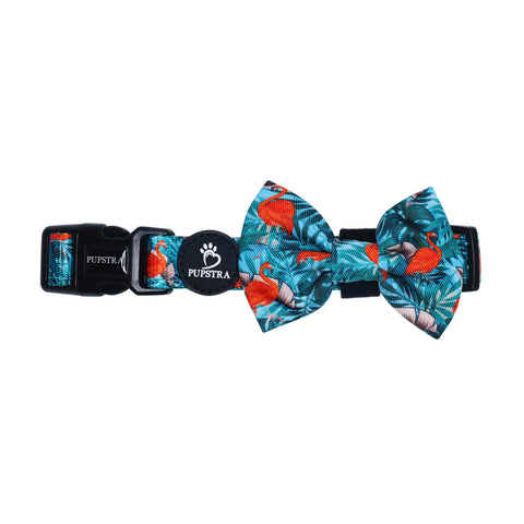 Pupstra Collar/Bow Tie M