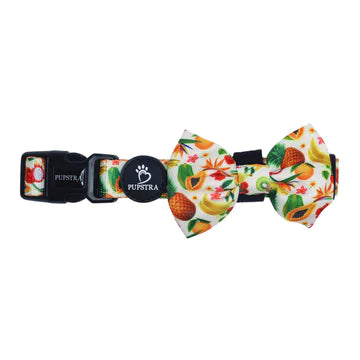 Pupstra Collar/ Bow Tie Fruity S