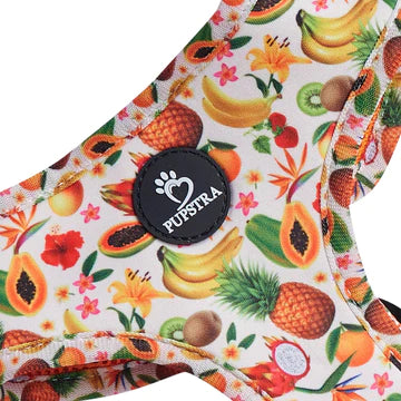 Pupstra Adjustable Harness  Fruity S