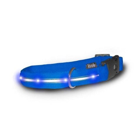 Illuminating Safety Collar Lights Up Blu