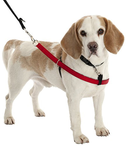 Walkezee Harness S