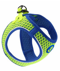 Net Mesh Sport Harness (DCA312)-Green//Blue- L