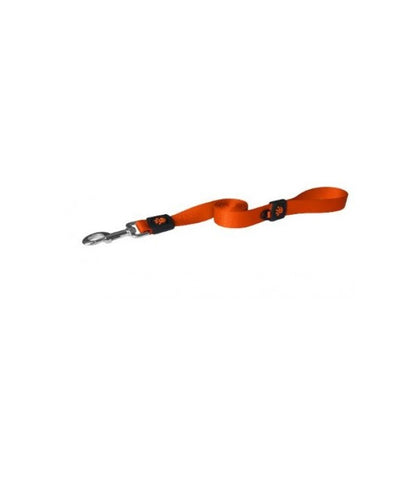 Nylon Leash Orange