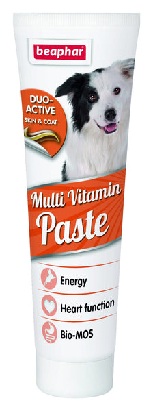 Duo Active Paste Multivitamin Dog 100g