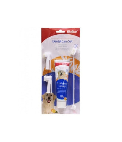 Dental Care Set Orange Flavour