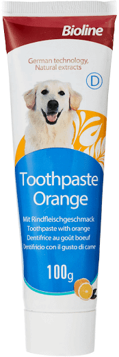Toothpaste Orange Flavour